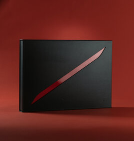 "UNICA" box personalizzazione Ducati